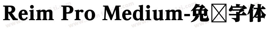 Reim Pro Medium字体转换